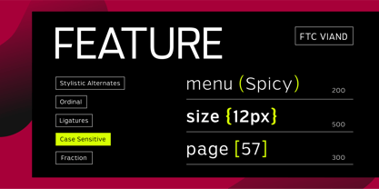 Viand Font Poster 14