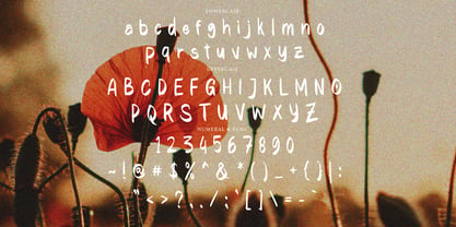 Williony Brush Font Poster 5