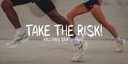 Williony Brush Font Poster 3