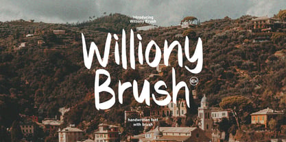 Williony Brush Font Poster 1