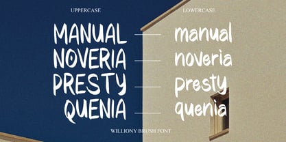 Williony Brush Font Poster 2