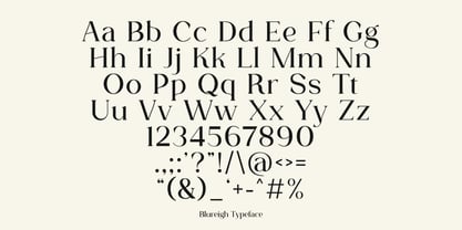 Blureigh Font Poster 5