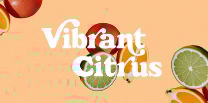 Choco Bone Font Poster 2