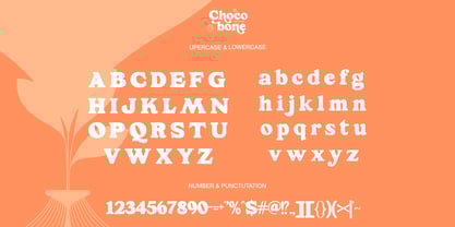 Choco Bone Font Poster 7