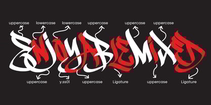 Chiloe Font Poster 10