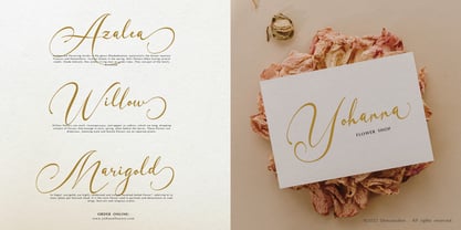 Sammybliss Font Poster 5