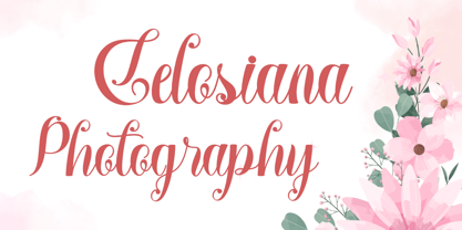 Athena Wedding Font Poster 8