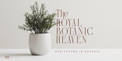 Acher Font Poster 11