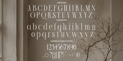 Acher Font Poster 7