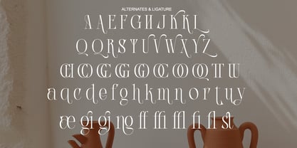 Acher Font Poster 8
