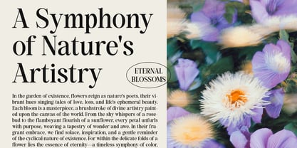 Back Bone Melavita Font Poster 12