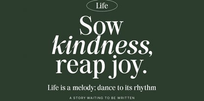 Back Bone Melavita Font Poster 14