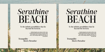 Back Bone Melavita Font Poster 15