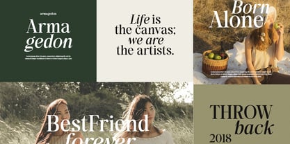 Back Bone Melavita Font Poster 5