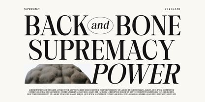 Back Bone Melavita Font Poster 2