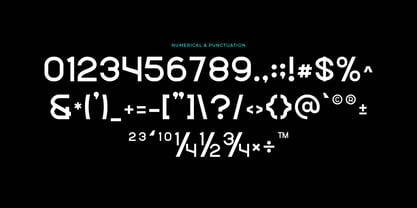 Northe Font Poster 5