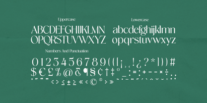 Novalisse Font Poster 15