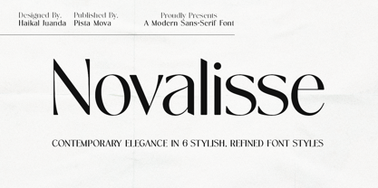 Novalisse Font Poster 1