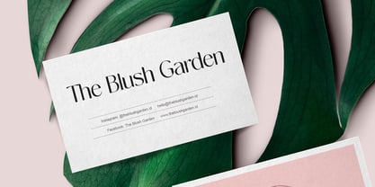 Novalisse Font Poster 4