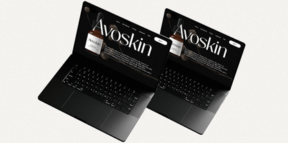 Novalisse Font Poster 6