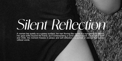 Novalisse Font Poster 11