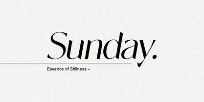 Novalisse Font Poster 9