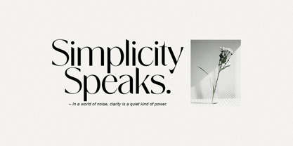 Novalisse Font Poster 7