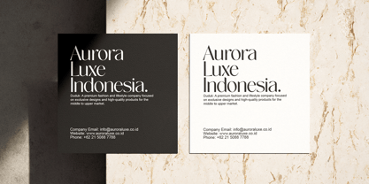 Novalisse Font Poster 3