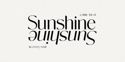 Novalisse Font Poster 8