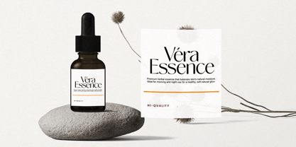 Novalisse Font Poster 2