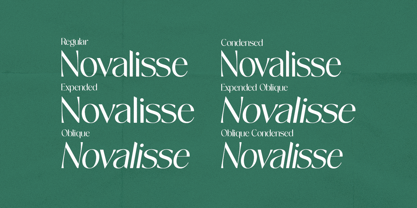 Novalisse Font Poster 14