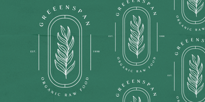 Novalisse Font Poster 12