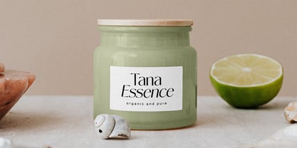 Novalisse Font Poster 5