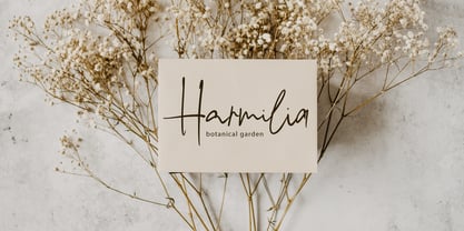 Melodia Signature Font Poster 4