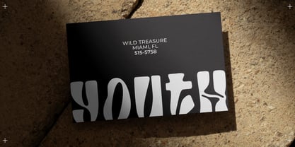 WR Tired Eyes Font Poster 9