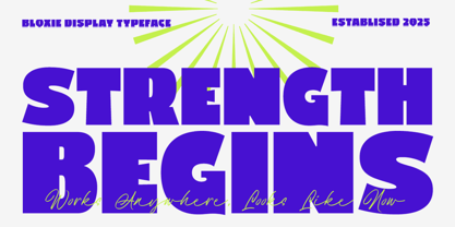 Bloxie Font Poster 5