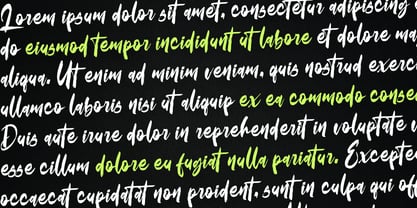 Blacknight Script Font Poster 4