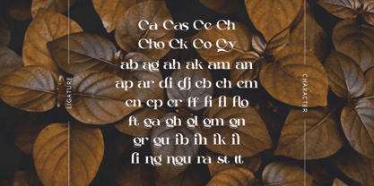 Casko Luxury Font Poster 11