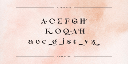 Casko Luxury Font Poster 8