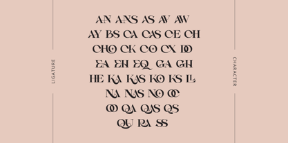 Casko Luxury Font Poster 10