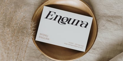 Casko Luxury Font Poster 2