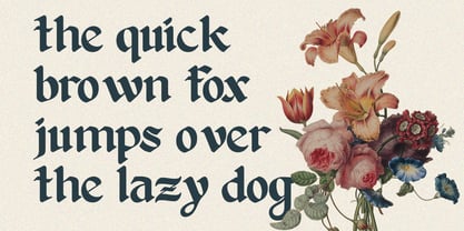 Qimorla Font Poster 9