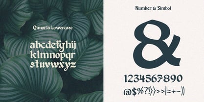 Qimorla Font Poster 7