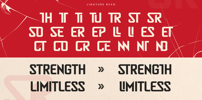 Rexo Font Poster 13