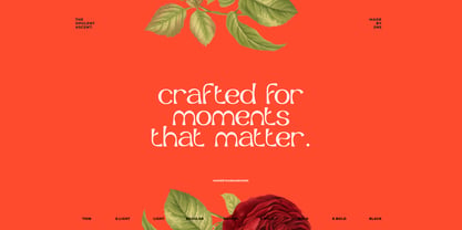 Opulent Ascend Font Poster 6