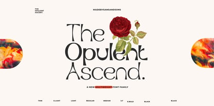 Opulent Ascend Font Poster 1