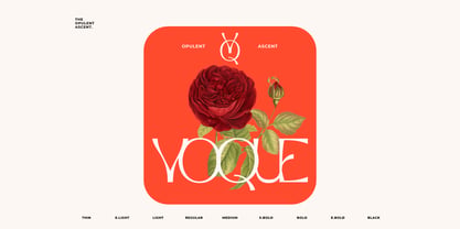 Opulent Ascend Font Poster 10