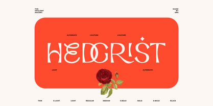Opulent Ascend Font Poster 8
