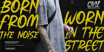 Noise Plays Font Poster 5