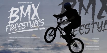 Noise Plays Font Poster 4